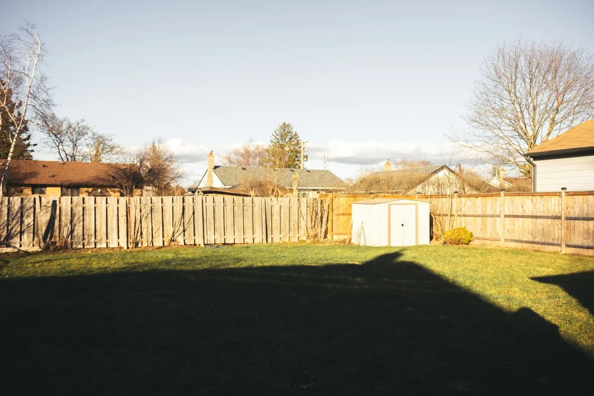 A sunny residential backyard featuring a wooden fence, shed, lawns, and tree shadows.