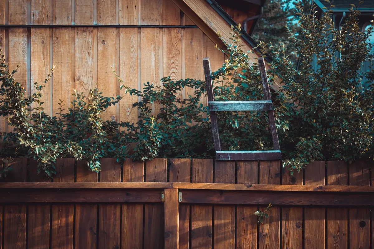 A wooden fence surrounded by green plants and a ladder, highlighting rustic charm for fence maintenance tips.