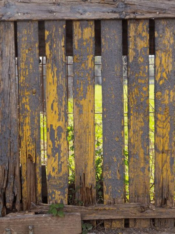 rotting wooden fence