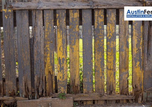 rotting wooden fence