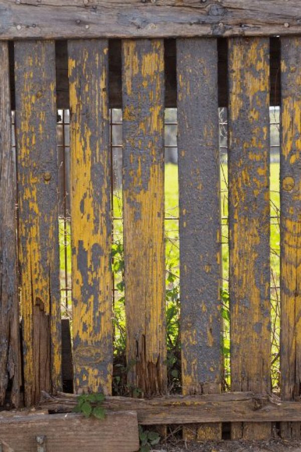 rotting wooden fence